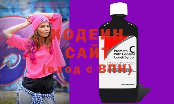 гидра Богородск