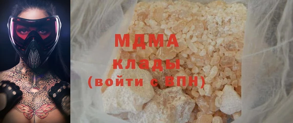 гидра Богородск