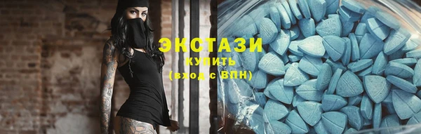 гидра Богородск