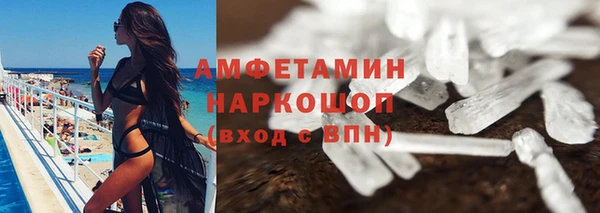 гидра Богородск