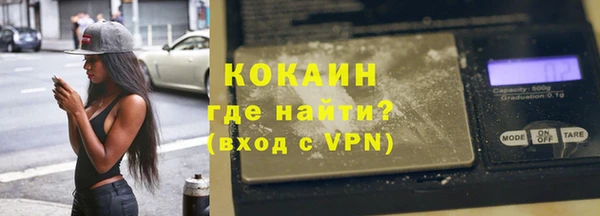 гидра Богородск