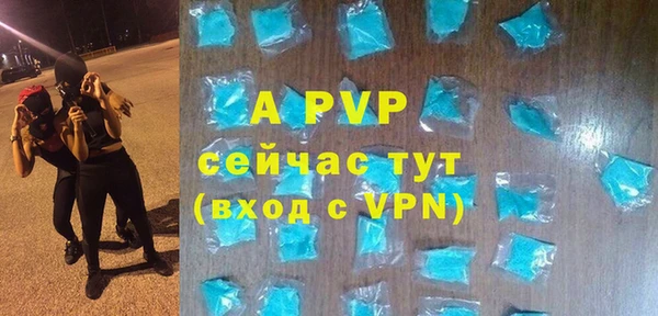гидра Богородск