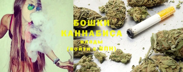 гидра Богородск