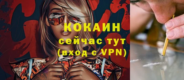 гидра Богородск