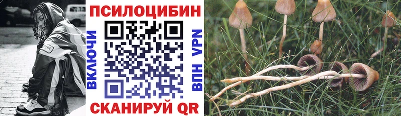 блэк спрут как зайти  Гай  Галлюциногенные грибы мухоморы 