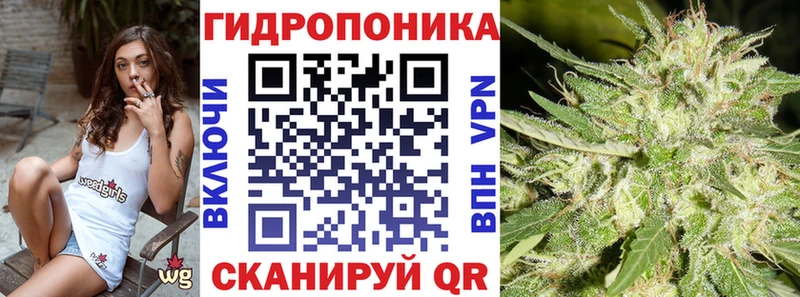 Канабис план Гай